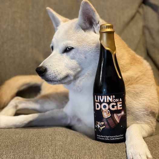 📢 S O L D  O U T 📢 This beautiful Shibu Inu got his bottles, did you?   Don’t fr