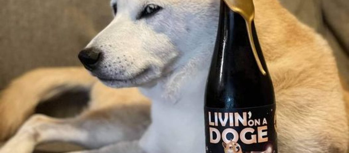 📢 S O L D  O U T 📢 This beautiful Shibu Inu got his bottles, did you?   Don’t fr