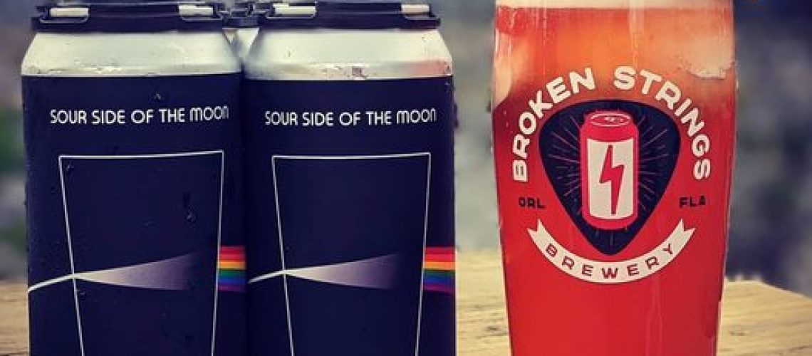 🚨10 Minute Warning🚨 🌈🌗Sour Side of the Moon🌓🌈 Rainbow Sherbet Sour 6% abv 4-Pack